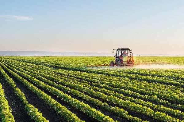 Agriculture