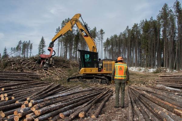 Logging